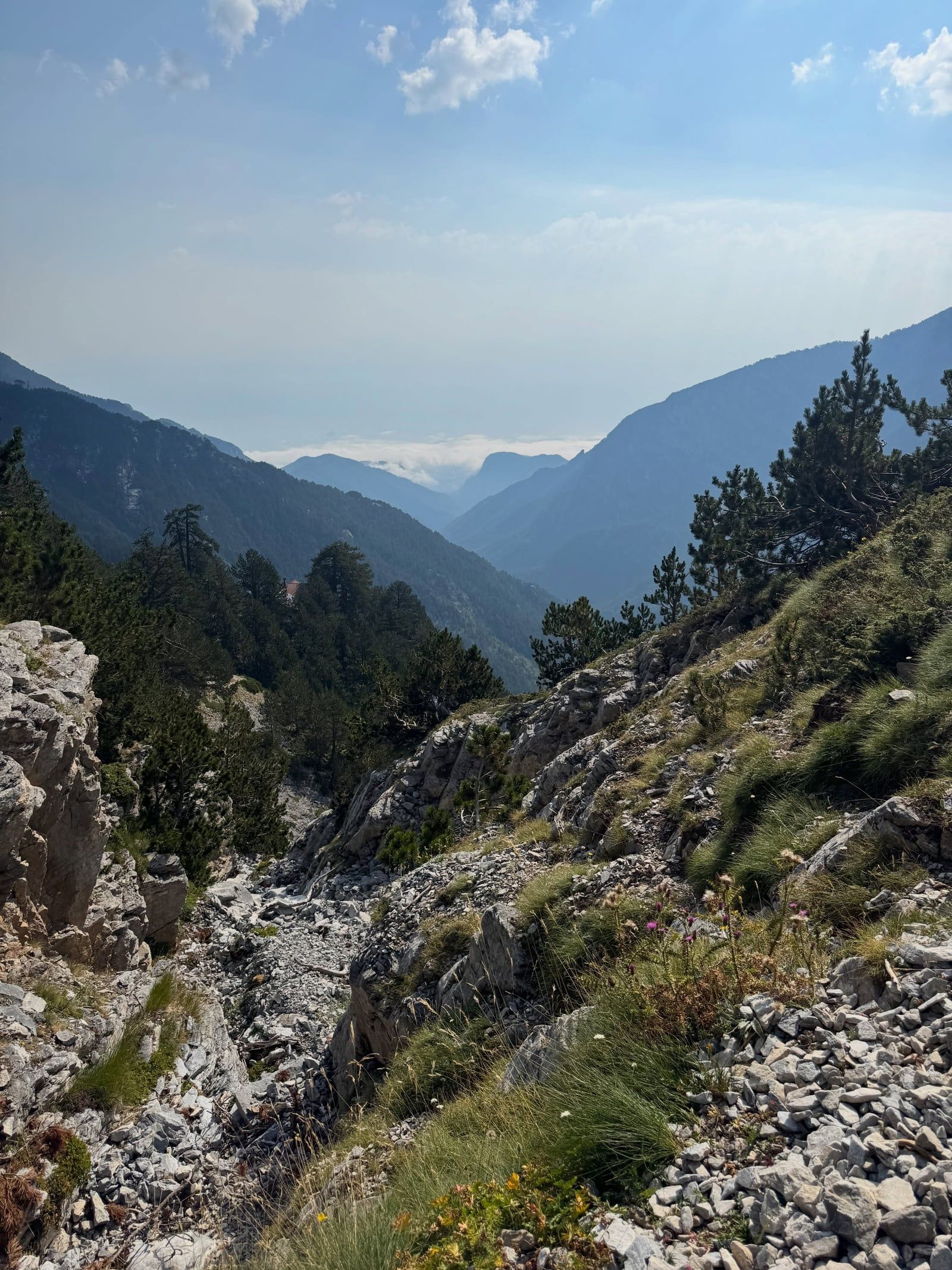 Blick auf Mount Olympus